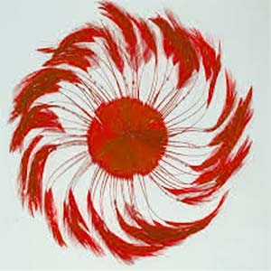 Full Pinwheels - RED